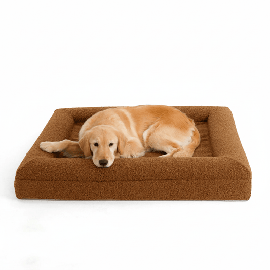 Luxe Orthopedisch Hondenbed van Geheugenfoam – Waterdicht & Wasbaar Hondenbed - Hebbr