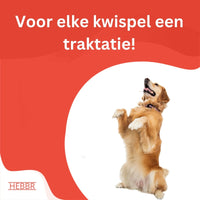 Mergkoekjes Zalm - Hebbr