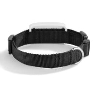 Mini Tracker GPS Hond Kat – IP67 Waterdicht, Realtime Locatiebepaling - Hebbr