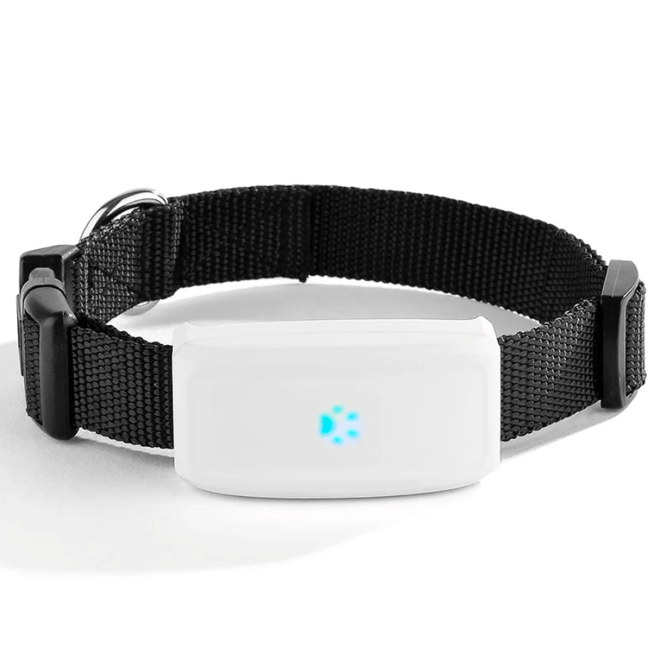 Mini Tracker GPS Hond Kat – IP67 Waterdicht, Realtime Locatiebepaling - Hebbr