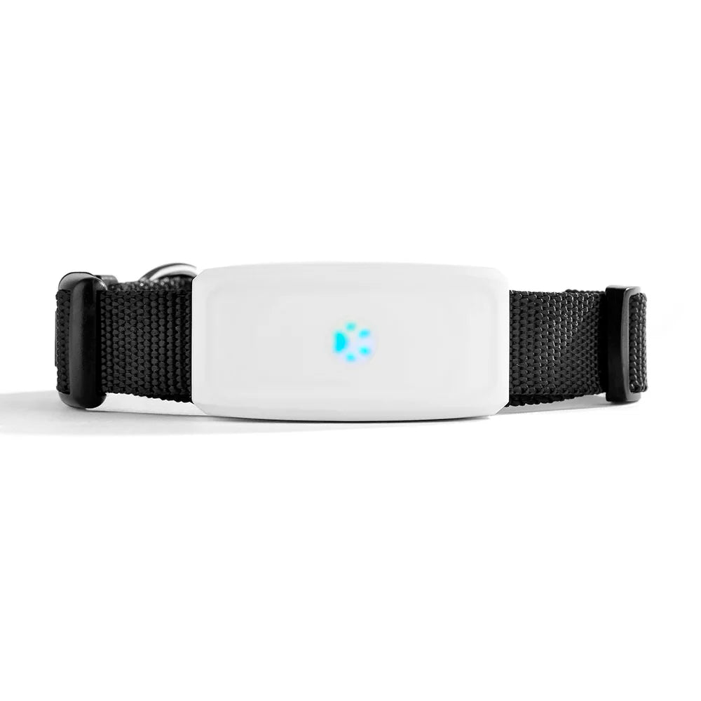Mini Tracker GPS Hond Kat – IP67 Waterdicht, Realtime Locatiebepaling - Hebbr