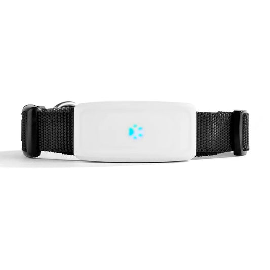 Mini Tracker GPS Hond Kat – IP67 Waterdicht, Realtime Locatiebepaling - Hebbr
