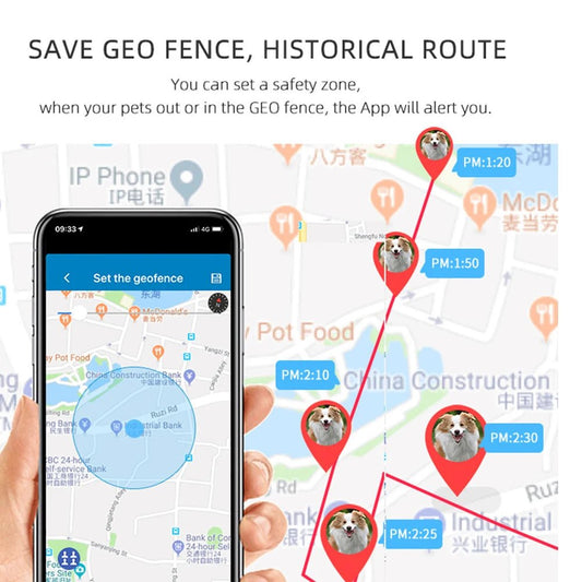 Mini Tracker GPS Hond Kat – IP67 Waterdicht, Realtime Locatiebepaling - Hebbr