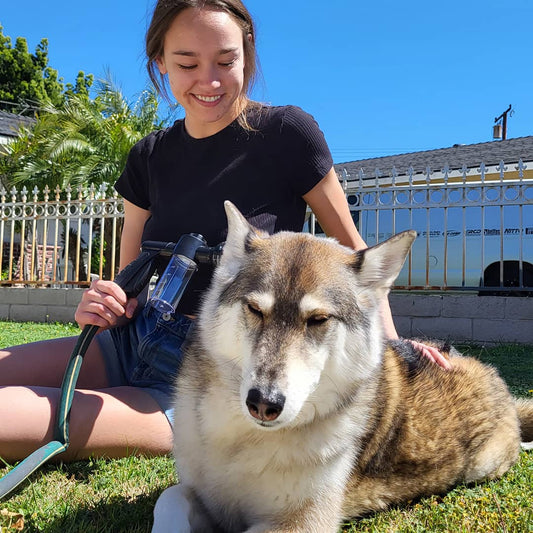 Mobiele Douchekop voor Honden, Geschikt voor PET - Flessen - Compact en Lichtgewicht - Hebbr