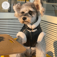 Mouwloos Fluwelen Vest voor Kleine Honden - Warm, Stylish en Comfortabel - Hebbr