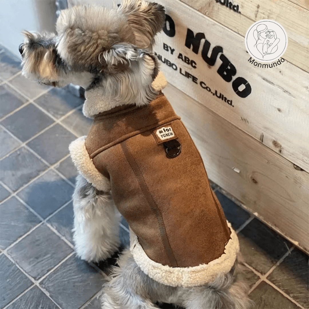 Mouwloos Fluwelen Vest voor Kleine Honden - Warm, Stylish en Comfortabel - Hebbr