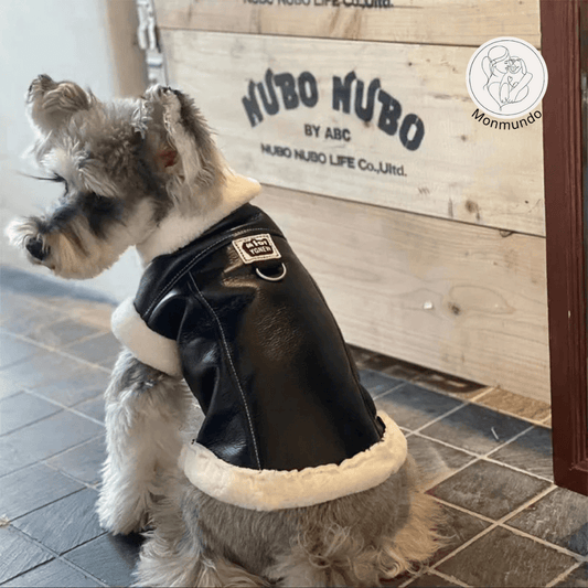 Mouwloos Fluwelen Vest voor Kleine Honden - Warm, Stylish en Comfortabel - Hebbr