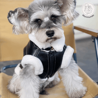 Mouwloos Fluwelen Vest voor Kleine Honden - Warm, Stylish en Comfortabel - Hebbr