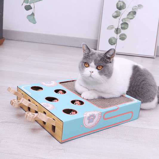 Multifunctionele Krabmat Kat met Speelelementen - Duurzaam en Stijlvol Speelparadijs 36x26x6 cm - Hebbr