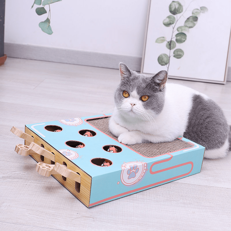 Multifunctionele Krabmat Kat met Speelelementen - Duurzaam en Stijlvol Speelparadijs 36x26x6 cm - Hebbr