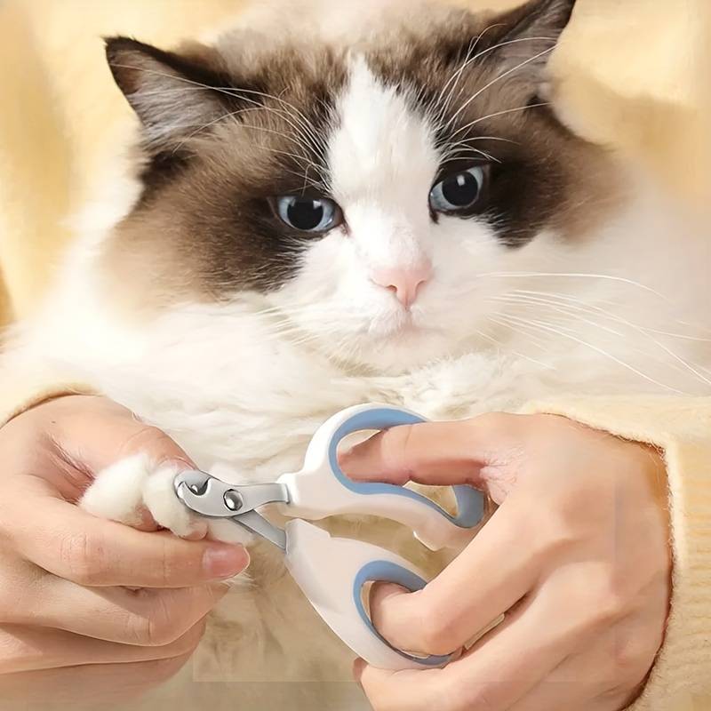 Nagelknipper voor Katten en Kleine Honden met Precisiegat en Antislip Handgreep - Roestvrijstalen Bladen - Hebbr