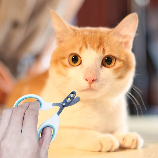 Nagelknipper voor Katten en Kleine Honden met Precisiegat en Antislip Handgreep - Roestvrijstalen Bladen - Hebbr