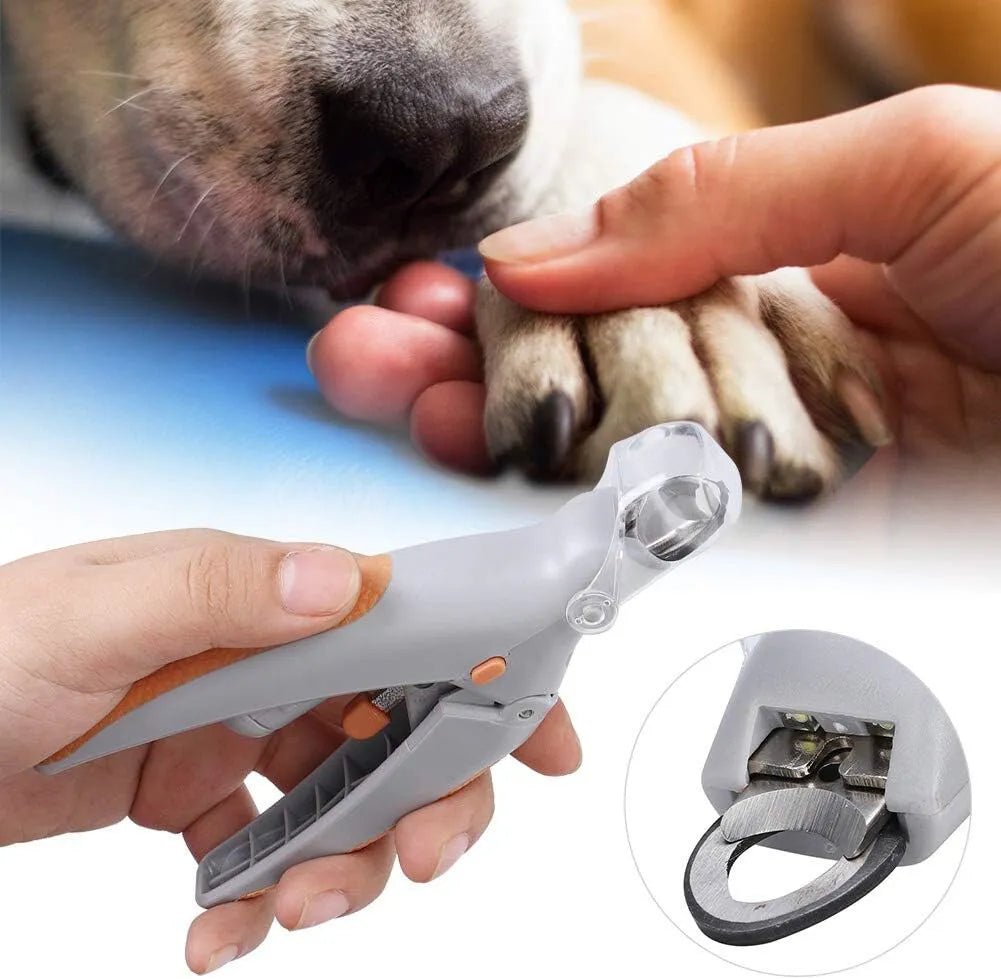 Nageltrimmer voor Huisdieren met LED Verlichting - RVS Messen, Stille Werking, Ergonomisch Ontwerp - Hebbr