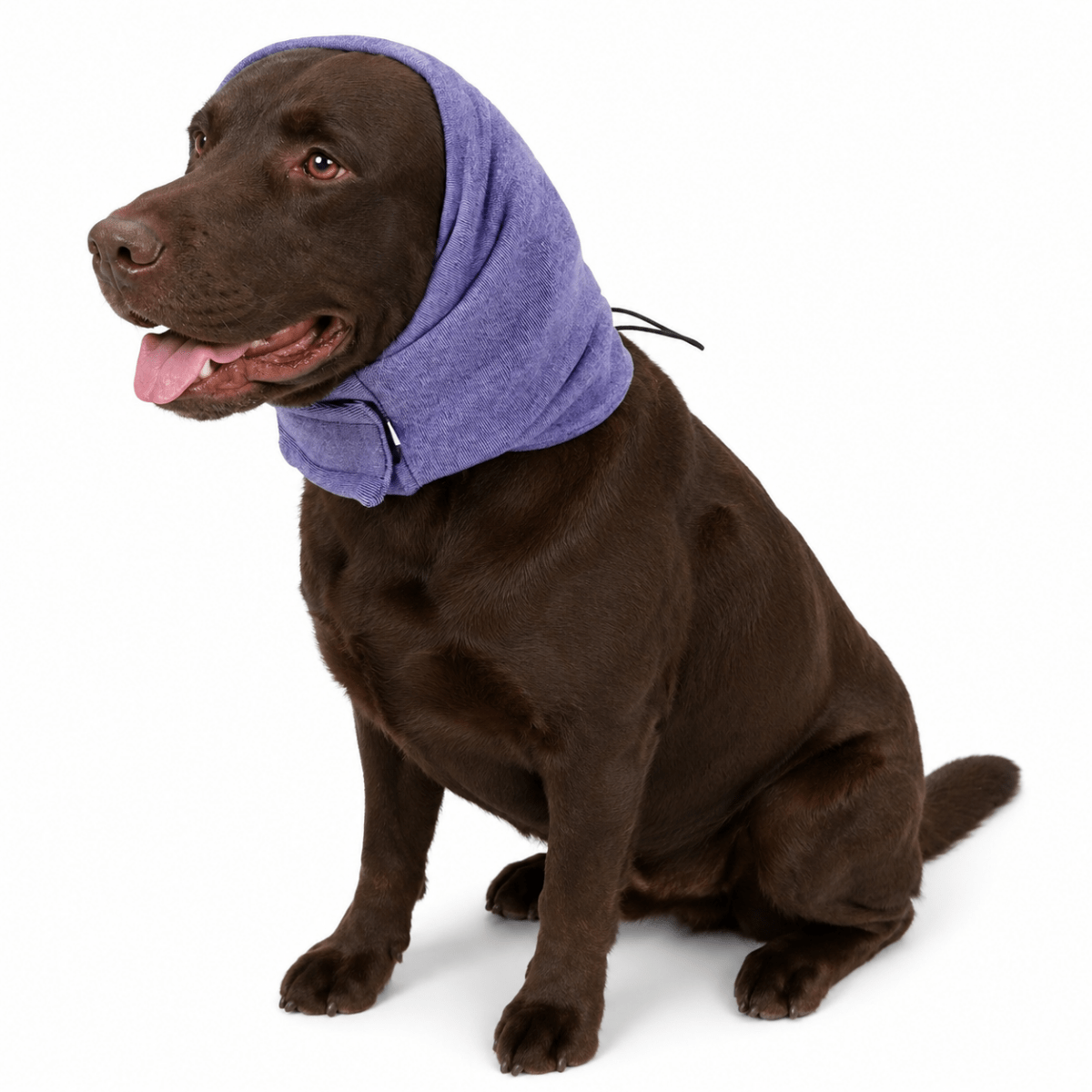 Oorbeschermers Hond - Hebbr