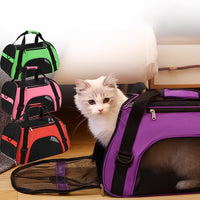 Opvouwbare kattenreistas met ademend mesh, zachte binnenvoering en verstelbare schouderriem - Hebbr