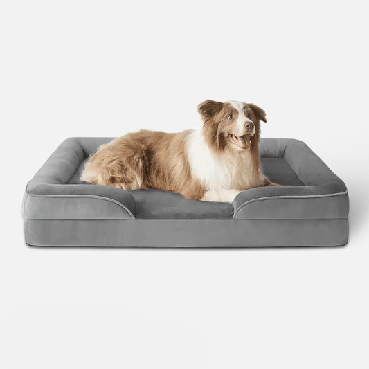Orthopedisch hondenbed 100×70 cm Traagschuim – Gewrichtsondersteuning Grijs - Hebbr