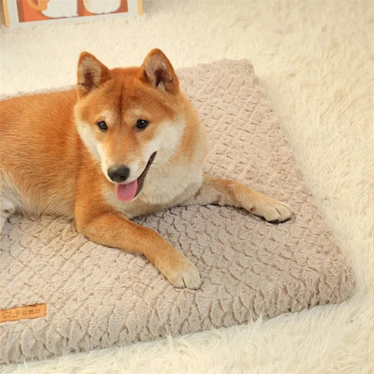 Orthopedisch Hondenbed met Afneembare Hoes - Waterdicht en Antislip, Geschikt voor Honden tot 25 kg - Hebbr