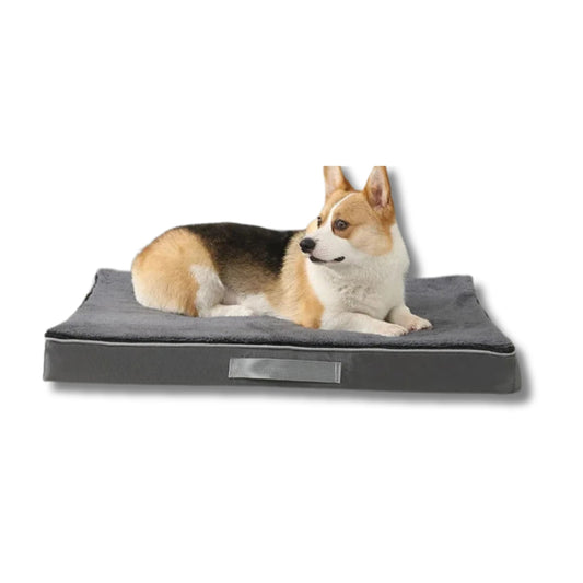 Orthopedisch Hondenbed van Elastisch Schuim - Wasbaar en Antislip voor Grote Honden en Middelgrote Honden - Hebbr