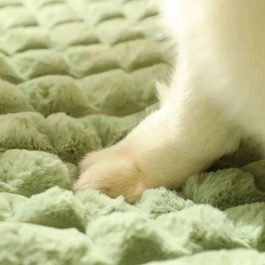 Orthopedisch Hondenbed voor Grote Honden – Geheugenfoam, Wasbaar & Verwijderbare Hoes - Hebbr