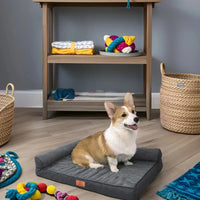 Orthopedisch Hondenbed voor Middelgrote Honden – Geheugenfoam, Waterdicht & Machinewasbaar - Hebbr