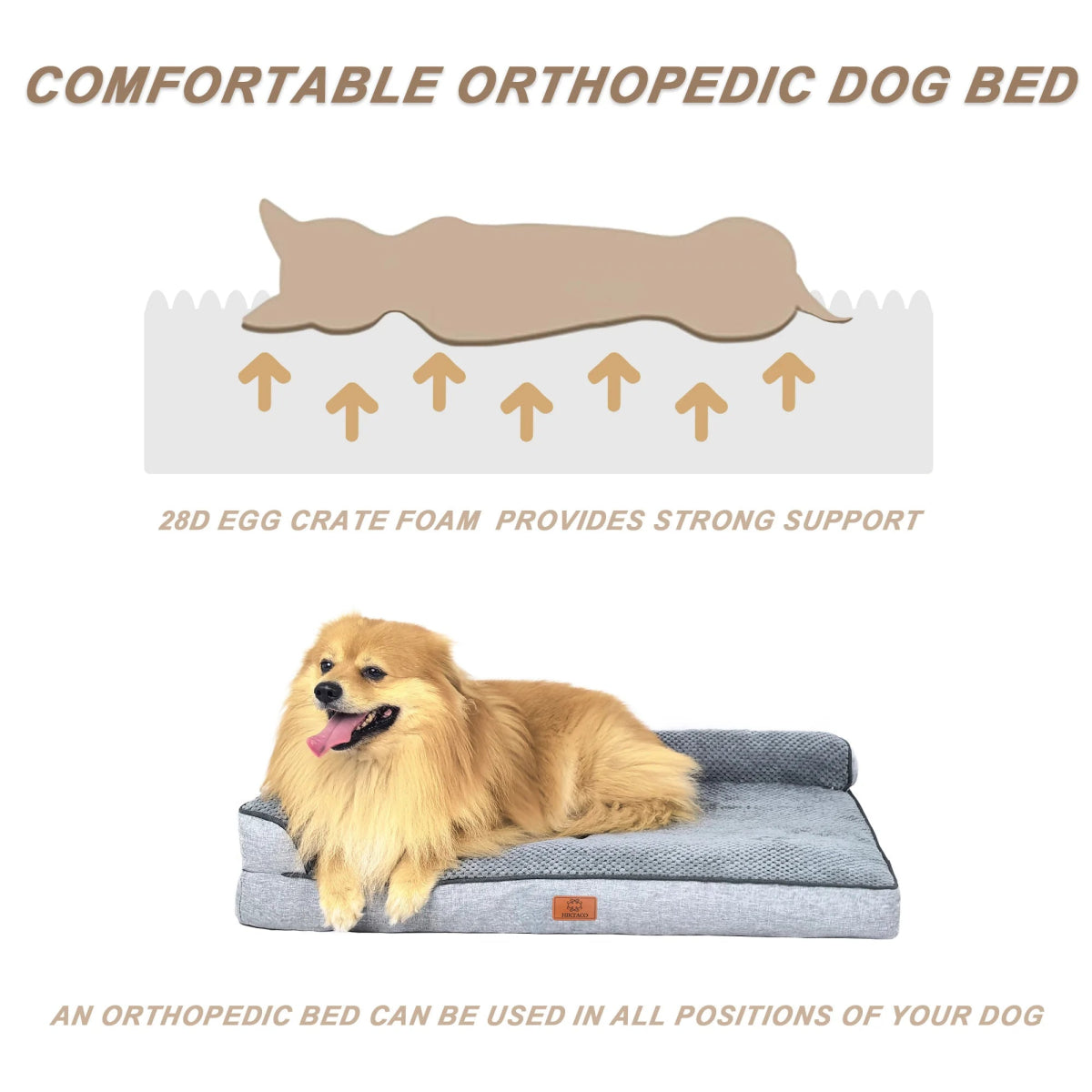 Orthopedisch Hondenbed voor Middelgrote Honden – Geheugenfoam, Waterdicht & Machinewasbaar - Hebbr