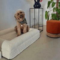 Orthopedisch Hondenkussen Voor grote en kleine honden - Luxe Memory Foam, Wasbaar, Wit - Hebbr