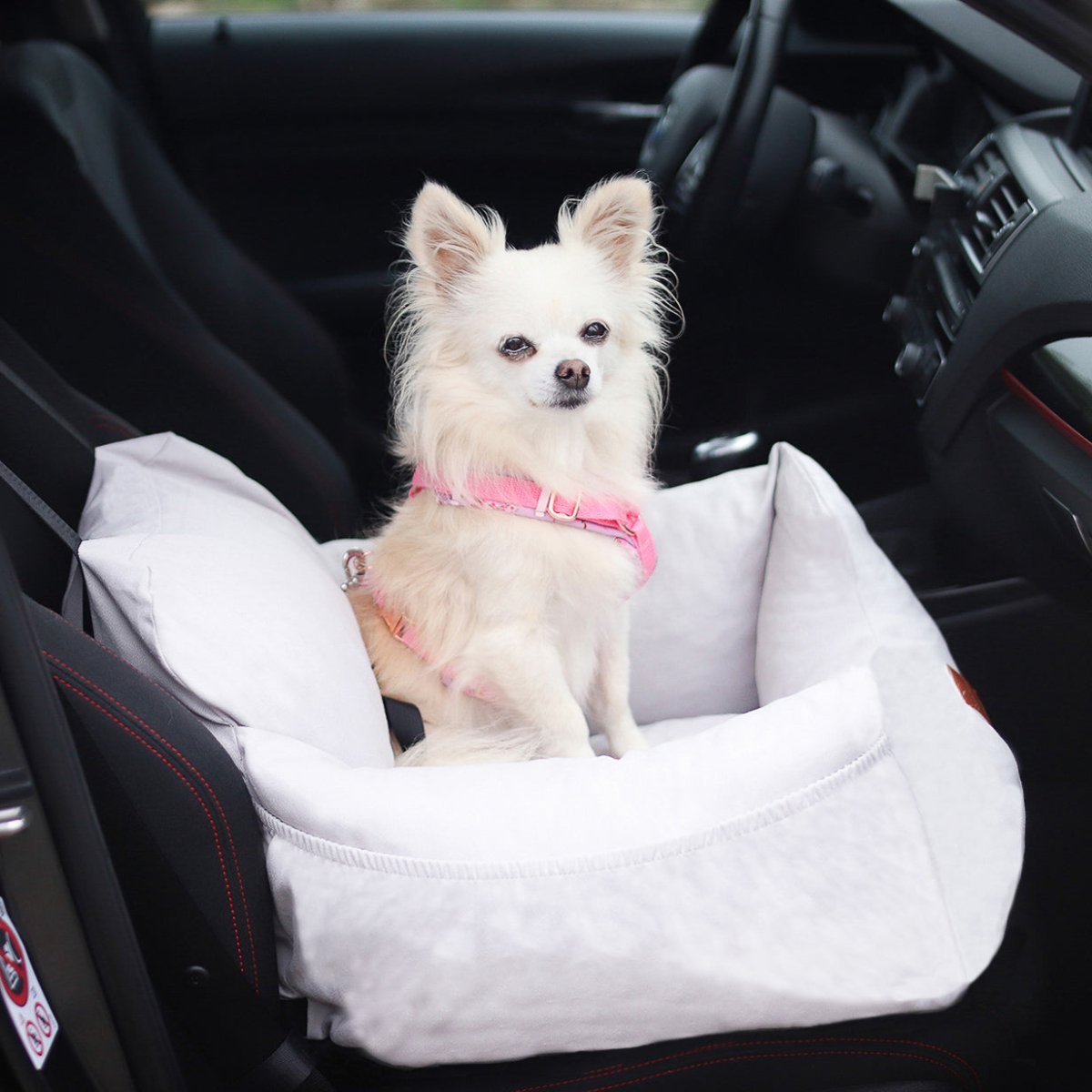 Orthopedische Hondenautostoel – Veilig, Comfortabel en Wasbaar voor Honden tot 15 kg - Hebbr
