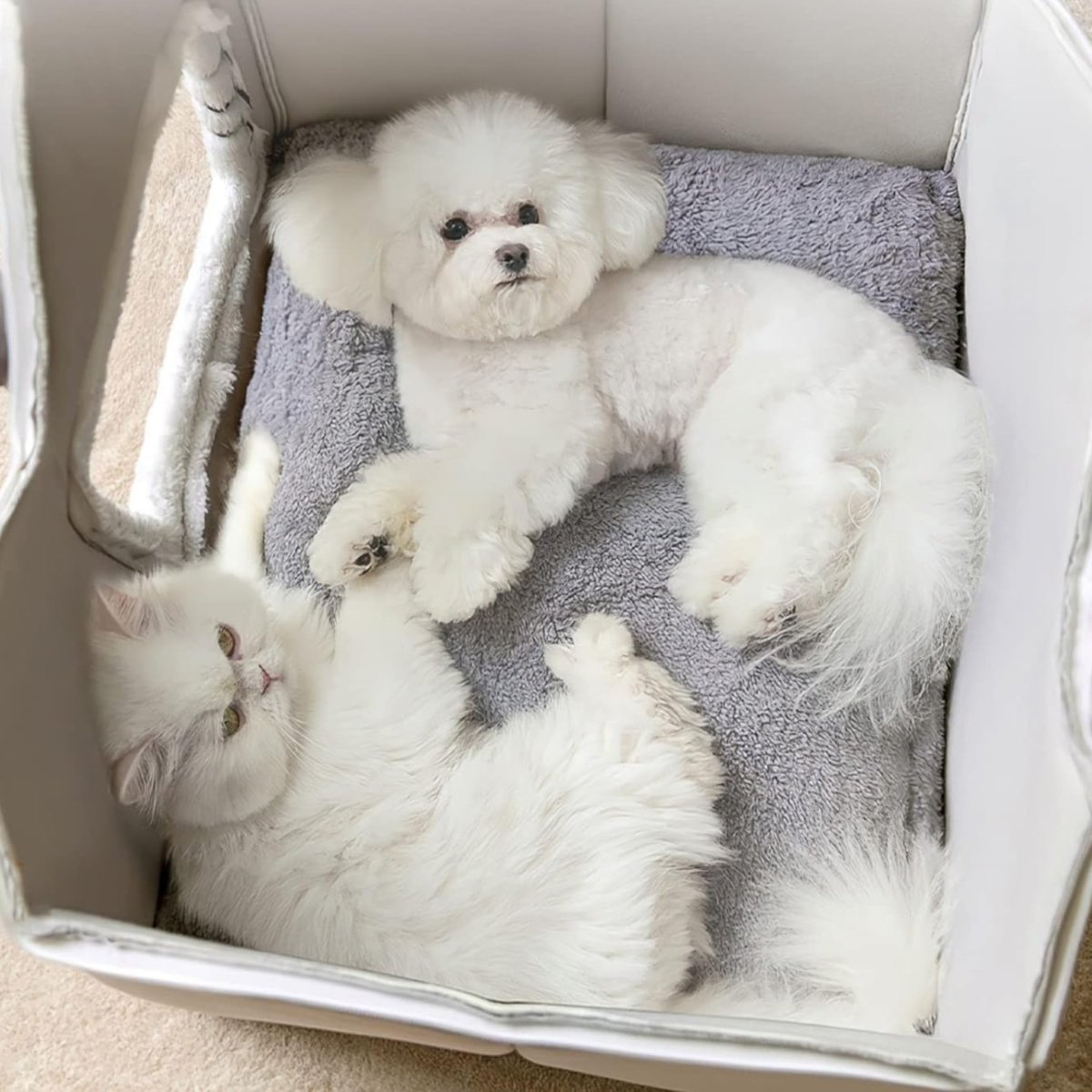 Pluizig Huis - Voor een geborgen en veilig gevoel - Hebbr