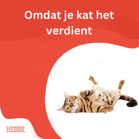 Premium Kat - Adult - Hebbr