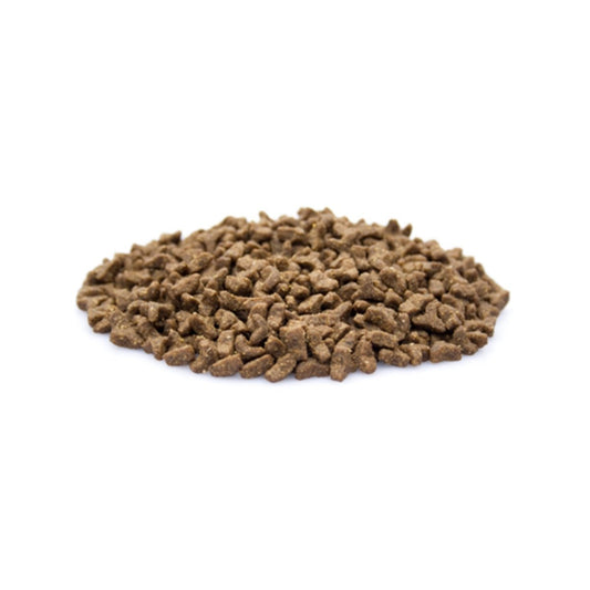 Premium Kat - Adult - Hebbr