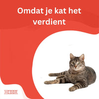 Premium Kat Anti - Struvite - Adult - Hebbr
