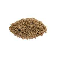 Premium Kat buiten Premium - Adult - Hebbr