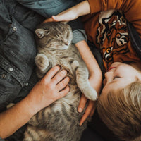 Premium Kat buiten Premium - Adult - Hebbr