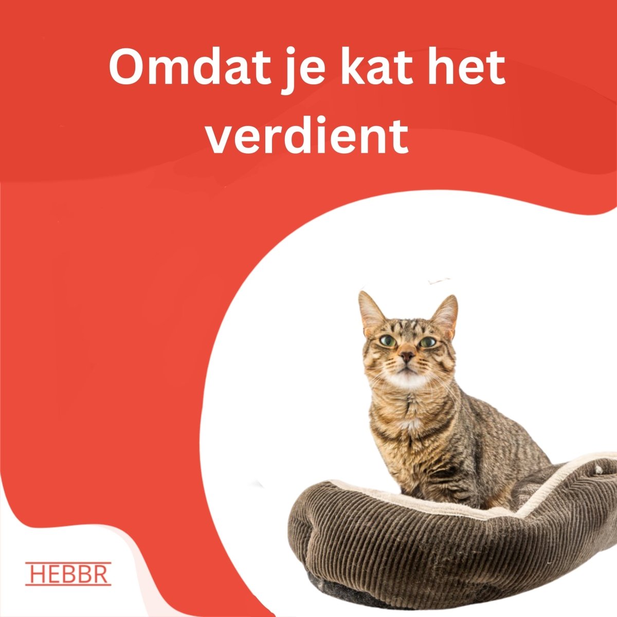Premium Kat dieet - Hebbr