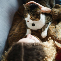 Premium Kat Graanvrij Kip - Adult - Hebbr