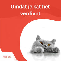 Premium Kat Graanvrij Zalm - Adult - Hebbr