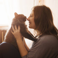 Premium Kat Graanvrij Zalm - Adult - Hebbr