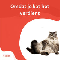 Premium Kat groot (XL) - Adult - Hebbr