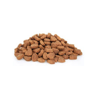 Premium Kat groot (XL) Premium - Adult - Hebbr