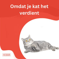 Premium Kat Premium - binnen - Adult - Hebbr