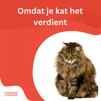 Premium Kat Senior - Hebbr