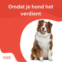 Premium kip & rijst - Adult - Hebbr