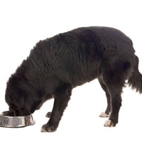 Premium kip & rijst - Adult - Hebbr