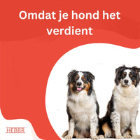 Premium lam & rijst - Adult - Hebbr