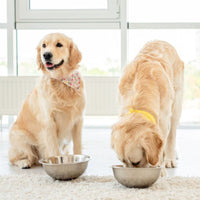 Premium lam & rijst - Adult - Hebbr