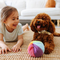 Premium puppy excellent geperst - Hebbr