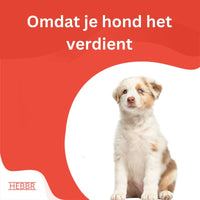Premium puppy excellent geperst - Hebbr