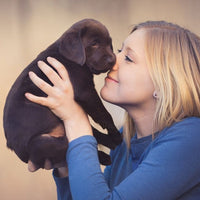 Premium Puppy grote ras Puppy & Junior - Hebbr