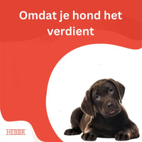 Premium Puppy grote ras Puppy & Junior - Hebbr