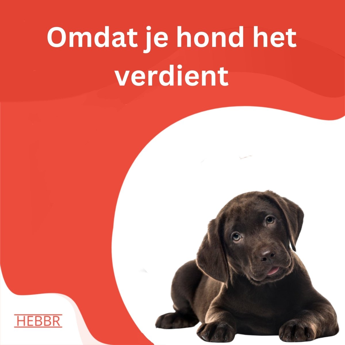 Premium Puppy grote ras Puppy & Junior - Hebbr